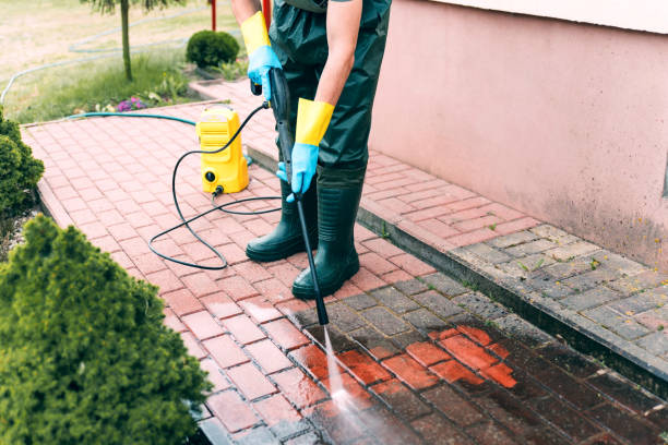 Best Building Exterior Washing  in Archbald, PA