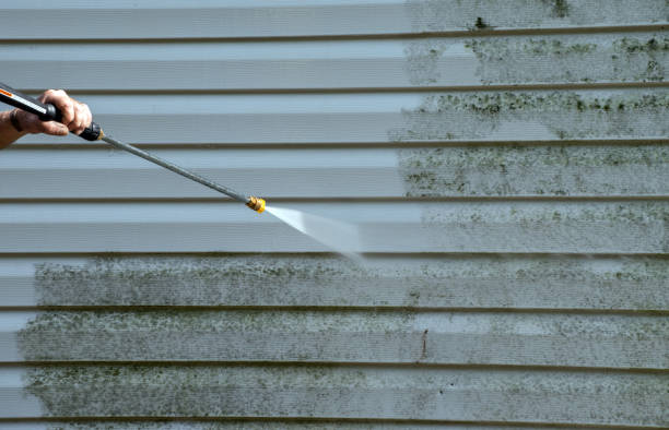 Best Sidewalk and Walkway Cleaning  in Archbald, PA